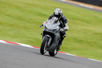 Advanced Group Silver_Grey Bikes